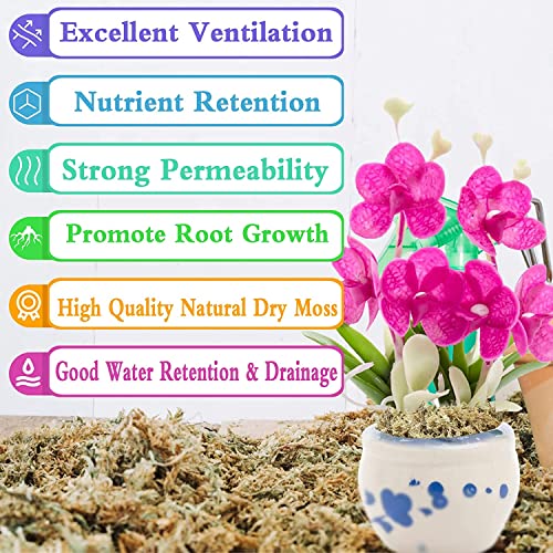 4 Quarts Natural Sphagnum Moss Potting Mix & 2 Pack Premium Coco Coir Brick for Plants- Potting Soil Mix Planting Growing Medium for Plants Gradening - view 2