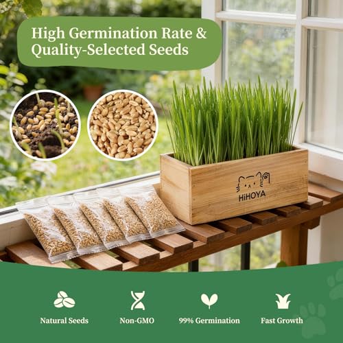 Cat Grass Kit for Indoor Cats - 5 Packets of Seeds, Cat Grass Planter Wooden Growing Kit, 5-Time Plant Starter Pack with 6 Soil Discs, Trimming Scissors, Spray Bottle, and Mini Tools - view 5