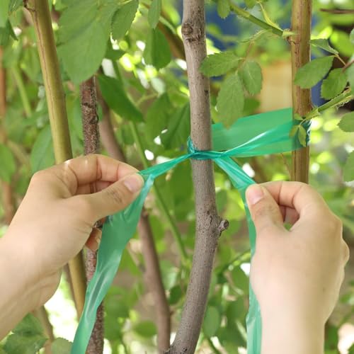 Stretch Tie Tape Roll, 1" 150ft Garden Tie Tape Reusable Garden Plant Ties Thick Sturdy Plant Ribbon Garden Green Vinyl Stake Gardening Tools for Indoor Outdoor Patio Plant Use - view 5
