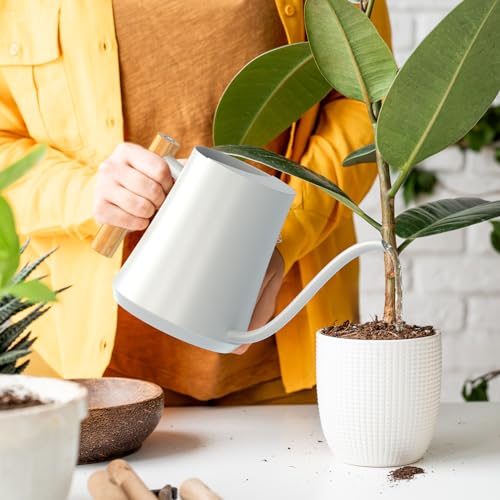 1L/35oz Metal Watering Can Indoor with Long Spout, White - view 6