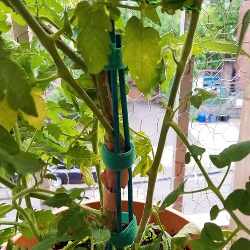 100PCS 18" Wooden Garden Stakes with 100PCS 4" Garden Ties, Green Bamboo Sticks, Floral Plant Support, Tomato Stakes - view 3