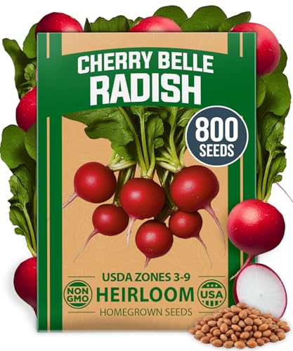 𝗨𝗦𝗔 𝗣𝗥𝗘𝗠𝗜𝗨𝗠 Cherry Belle Radish Seeds 800 & Tendersweet Carrots Seeds 2 Pack 6000 - view 2