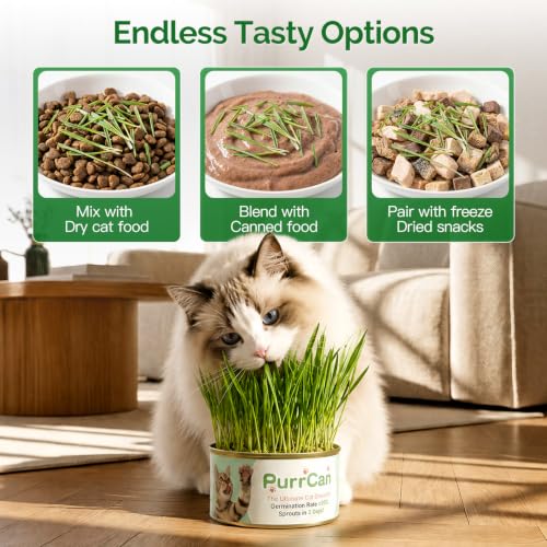 Cat Grass Growing Kit – 6 Cans, Non-GMO Organic Wheat Seeds - view 6