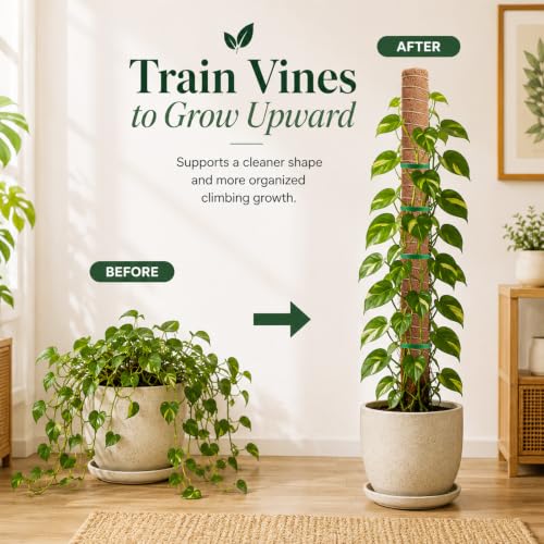 Moss Pole Monstera Plant Support, Extended to 48 Inch, 4 Pack 16 in - view 6
