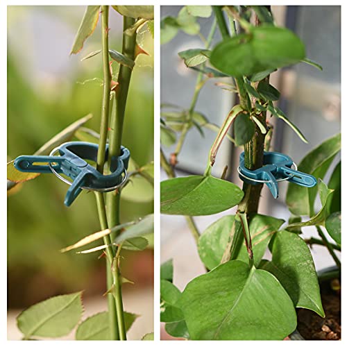 Plant Support Clips, 80 PCS Gentle Flower Plant Clamps for Supporting Vine Climbing Plants, Gardening Lever Loop Gripper Clips Help Stems Vines Grow Straight Upright, 2 Sizes in one Pack - view 6