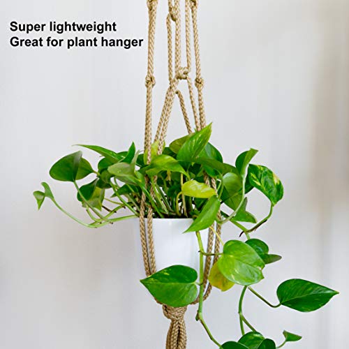 8 Pack 5.5 Inch Plastic Planters with Saucers, Indoor Flower Plant Pots, Modern Decorative Gardening Pot with Drainage for All House Plants, Flowers, Herbs, Succulents and Hanging Plants - view 5