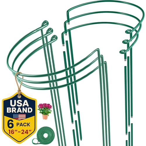 6 Pack Plant Support Stakes – Peony Cages and Supports –10" W x 16" - 24" H