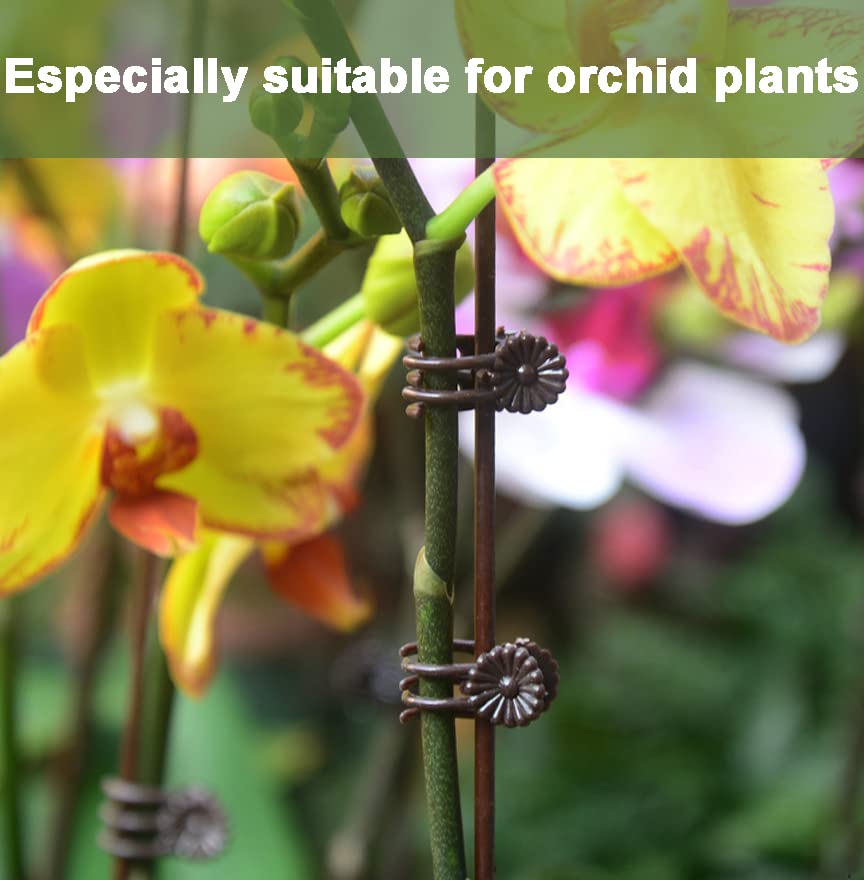 40-PCs Orchid Clips for Plants Support - Dark Green, for Small - Middle Climbing Plants Vine Plants & Single Stem Plants - view 2