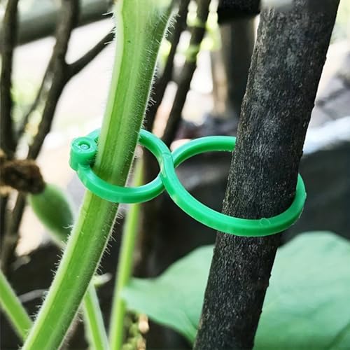 20-Pack Plastic Garden Plant Tie Clips – Tomato Vine Support Fasteners, Reusable Stem Strap Buckle Clamps for Securing Climbing Plants - view 4