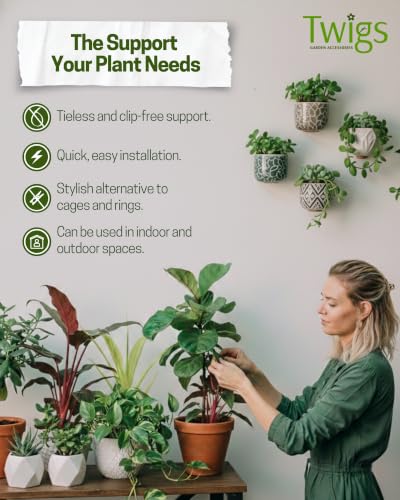 Mini Plant Support Stakes, Monstera Dark Green, 10-Pack, 12" L - view 2