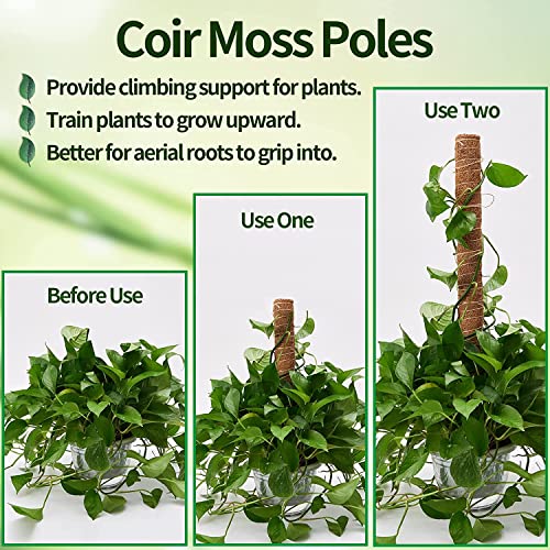 101in Moss Pole for Plants Monstera 8 Pcs - view 2