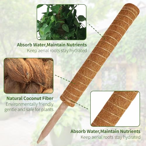 Moss Pole Monstera Plant Support: 4 Pack 16 inch Stackable Coco Coir - view 3