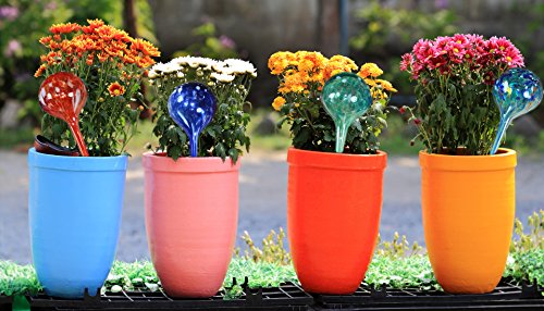 Aqua Plant Watering Globes - Automatic Watering Ball Bulbs - Self Watering Plant Glass Bulbs System (16, Small) - view 5
