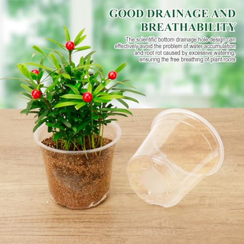Clear Nursery Pots with Drainage Holes-36 Pack 3/4/5Inch Transparent Plastic Plant Pots for Seed Starting, High Visibility Root Growth Monitoring&36Plant Labels (Transparency-no Lid, 3/4/5in-36p) - view 2