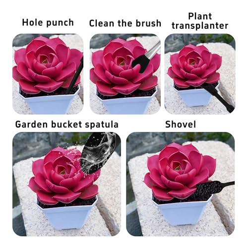 5Pcs Mini Succulent Tools Set, Plastic Garden Hand Tools Kit for Indoor Plant Care, Succulent Bonsai Miniature Garden Tool Set,Small Gardening Tools for Transplanting Digging Planting, Black - view 6