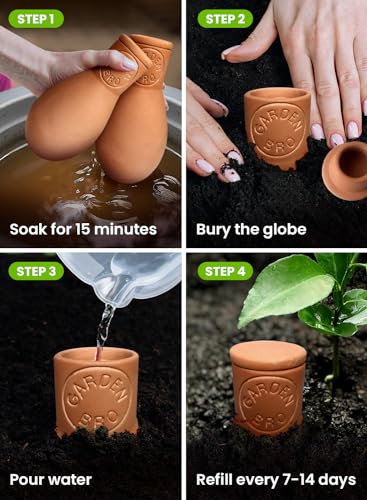 4 Pc Ollas Terracotta Watering Pots Large - 14 Oz Terracotta Self Watering Globes for 1-Week Easy to Refill - Clay Garden Olla Pots Plant Waterers While On Vacation Outdoor & Indoor [14 oz Classic] - view 5