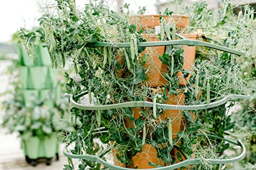 Set of 3 Plant Supports for Growing Tomatoes, Cucumbers, Peppers, Eggplant, and Squash Vertically in a Vertical Planter - view 5