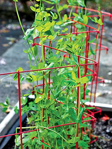 Gardeners Supply Company Sturdy Expandable Tall Pea Trellis for Climbing Plants | Multi-Use Heavy Duty Outdoor Garden Peas, Tomato, Cucumber Steel Plant Support | 9'-8" L x 37" H - Green - view 3