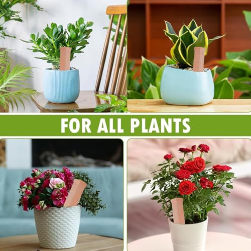 Plant Waterer Kit - Feed Ceramic Cone System, Consistent Root Moisture Delivery Tool Set, Controlled Drip Irrigation Device Pack | Pots Patio Balcony Garden for Pots Patio Balcony Garden - view 6