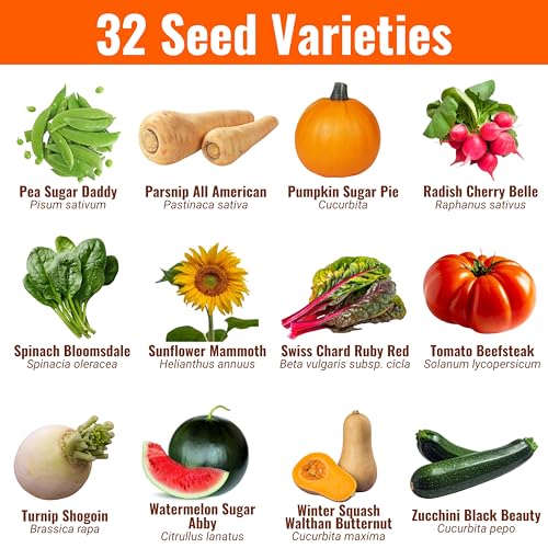 Vegetable & Fruit Seeds, 32 Packs, Non-GMO, 15,000+ Seeds - view 3