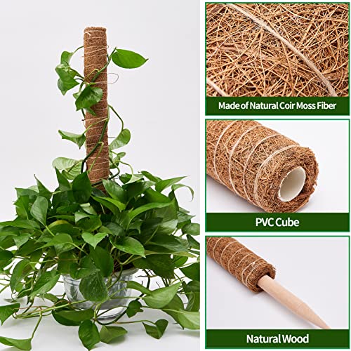 Moss Pole 68in for Plants Monstera 6pcs - view 3