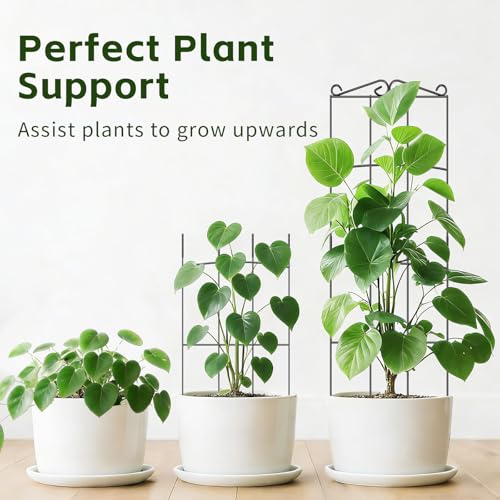 Trellis for Climbing Plants Indoor, 4 Pack 31'' Metal Plant Trellis Indoor for Potted Plants, Sturdy Plant Support Outdoor for Ivy Pothos Monstera Hoya Flower Vine, Rectangular Shape - view 4