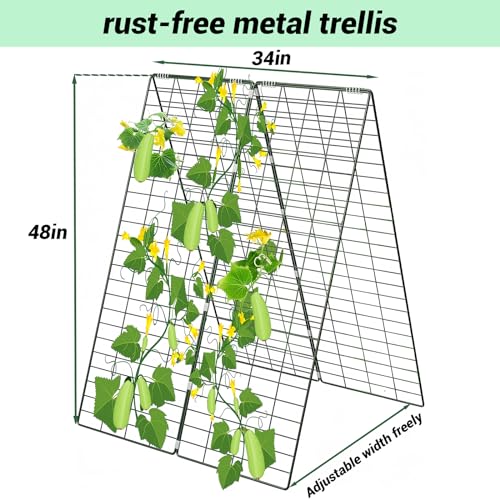 Foldable Cucumber Trellis, Heavy Duty Steel Plant Support Frame (2pack) - view 2