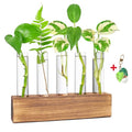 Plant Propagation Station, Plants Propagation Tubes