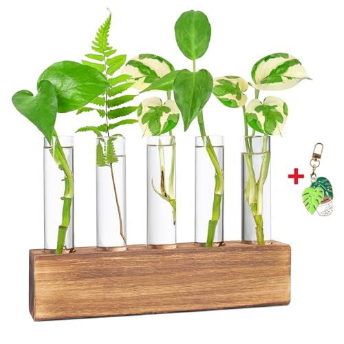 Plant Propagation Station, Plants Propagation Tubes