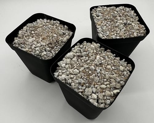 Lithops Grow Soil Gritty Mix, 2 Qt, Fast Draining Potting Medium, Mesemb - view 4