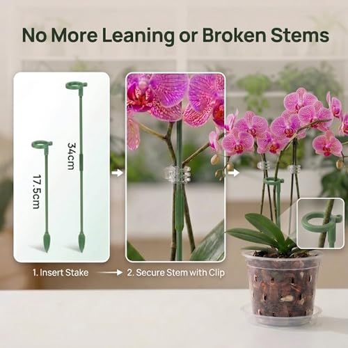 Orchid Pot -6 Pack 4 Inch Orchid Pots with Holes and Saucers, Clear Plastic Plant Pots with 8 Support Stakes and Clips, Orchid Repotting Kit for Indoor Plants - view 5