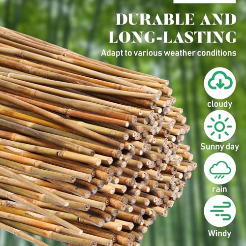 100 Pcs Bamboo Plant Stakes Natural Garden Support Sticks,2 ft - view 4