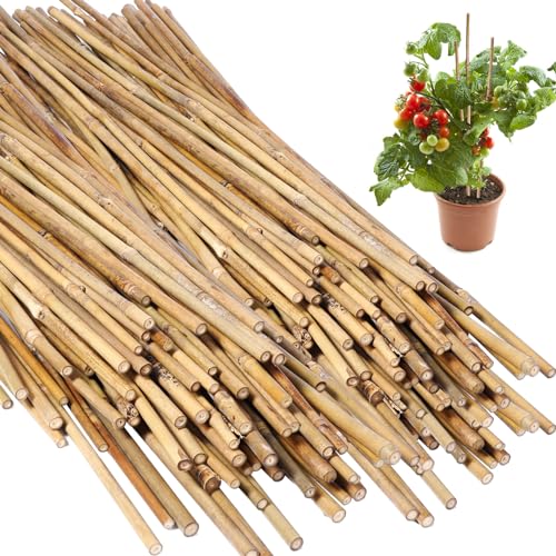100 Pcs Bamboo Plant Stakes Natural Garden Support Sticks,2 ft