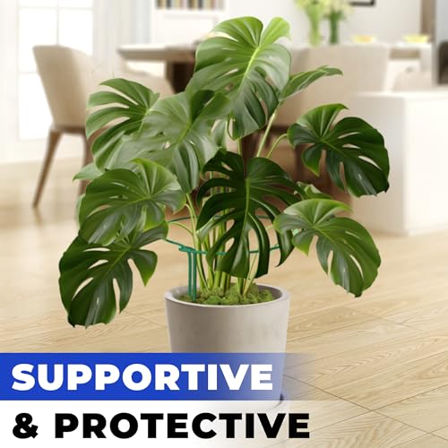 12 Pack Tall Snake Plant Support Stakes – 10" W x 24" H Half Round Peony Cages and Supports for Indoor and Outdoor Plants – Plant Cage Ring Support for Flower - Peony, Tomato, Hydrangea, Rose Bush - view 6