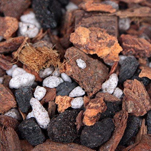 Potting Soil with Perlite, peat Moss, Coconut, Charcoal and Orchid bark for Cattleya Dendrobium Oncidium All Natural Orchid bark Potting Mix for Potting Soil Indoor Plants - view 2