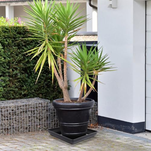 6pcs Square Plant Pot Saucer Black Plastic Drip Tray for Balcony Gardening - view 6