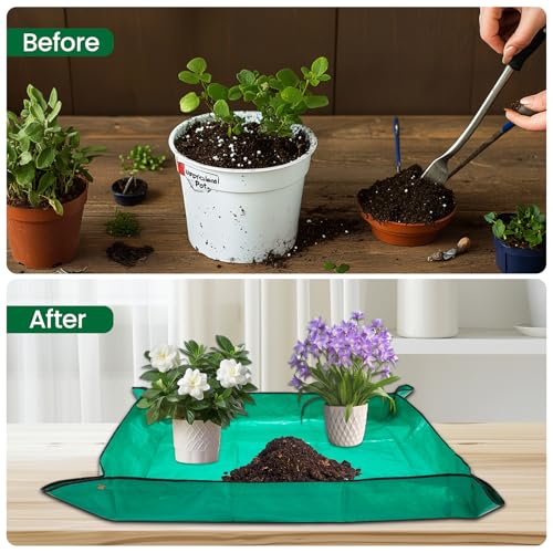 Large Bonsai Pots 3 Pack 14 Inch with Drainage Trays Training Pot - view 5