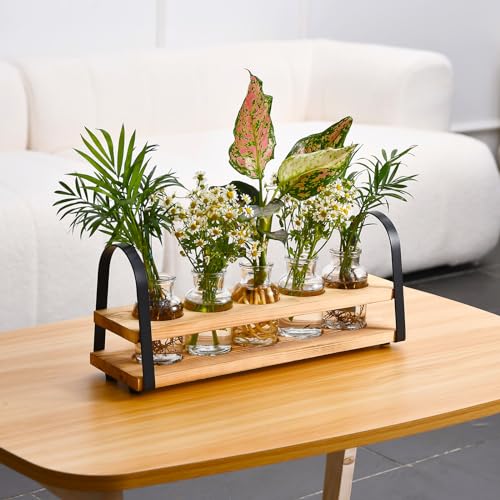 Plant Propagation Station with Wood Stand, Desktop Terrarium for Hydroponic, Flower Vase for Home, Kitchen, Office Decor, Plants Lover Gifts - view 3