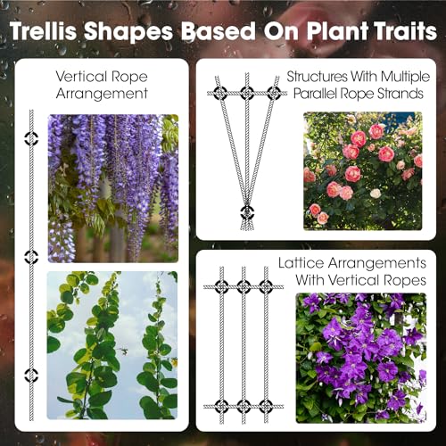 Wire Trellis Kit,10 Set,53Ft 1/8" T316 Steel for Climbing Plants - view 5