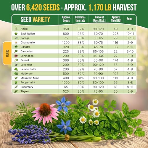 15 Medicinal & Tea Herb Seeds Variety Pack 6,420+ Non-GMO Heirloom Garden Seeds for Indoor & Outdoors, Including Anise, Borage, Cilantro, Chamomile, Dandelion, Rosemary Seeds - view 4