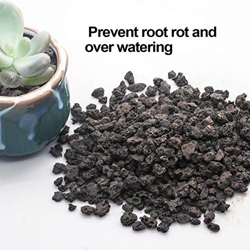 Black Horticultural Lava Rock Soil Additive for Cacti Succulents Plants No Dyes or Chemicals 100% Pure Volcanic Rock 2.2LB Top Dressing - view 3