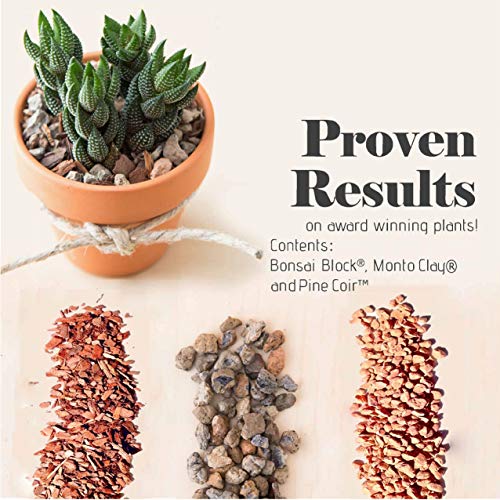 Succulent, Cactus and Bonsai Soil - Jacks Gritty Mix - 12 Gallons – Fast Draining – Fight Root Rot – Optimized pH - view 5