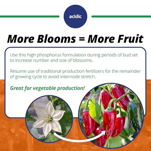 10-30-20 Blossom Booster Water-Soluble Fertilizer, 4lb - view 4