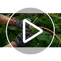 10 Pack Bamboo Hoop Trellis Circle Trellis for Potted Plants, Handmade 15 in. Bamboo Loop Stakes for Climbing Flowers and Vines - view 7