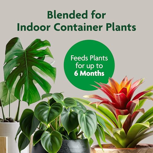 Indoor Potting Mix, Blended for a Variety of Houseplants, Feeds for up to 6 Months, 6 qt. - view 2