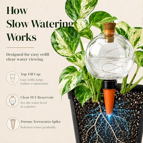 19 oz Extra Large Plant Self Watering Globes Top Fill, Classic Globe Plastic Self Watering Bulbs, LED Solar Light Automatic Waterer with Slow Release Ceramic Spikes for Indoor Outdoor Plants, 2 Pack - view 4