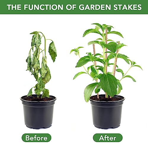 40 Pack 4 Feet Bamboo Stakes for Plant, Bamboo Sticks Plant Support Garden Stakes Poles with 200pcs Twist Ties for Tomatoes, Beans, Flowers, Potted Plants, Indoor and Outdoor Climbing Plants - view 4