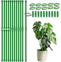 20Pcs Plant Support Stakes 17 inch Garden Orchid Sticks Extended to 3ft 4ft 5ft Plant Poles with Clips for Indoor Outdoor Potted Tomato Rose Amaryllis Vegetables Comes with 20 Ties（Green）