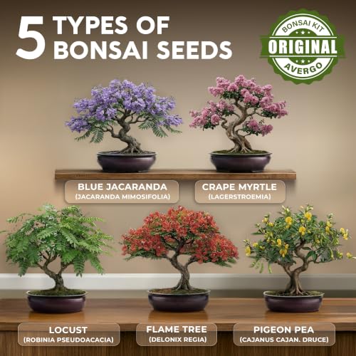 Bonsai Tree Kit Deluxe - Growing 5 Unique Japanese Bonzai Trees - view 3