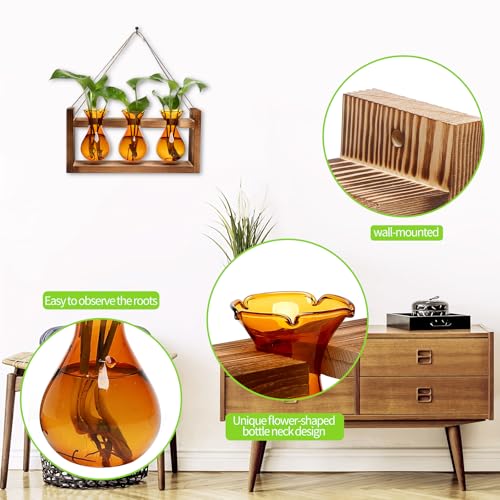Plant Propagation Station Plant Terrarium Unique Birthday Gifts for Women - view 2
